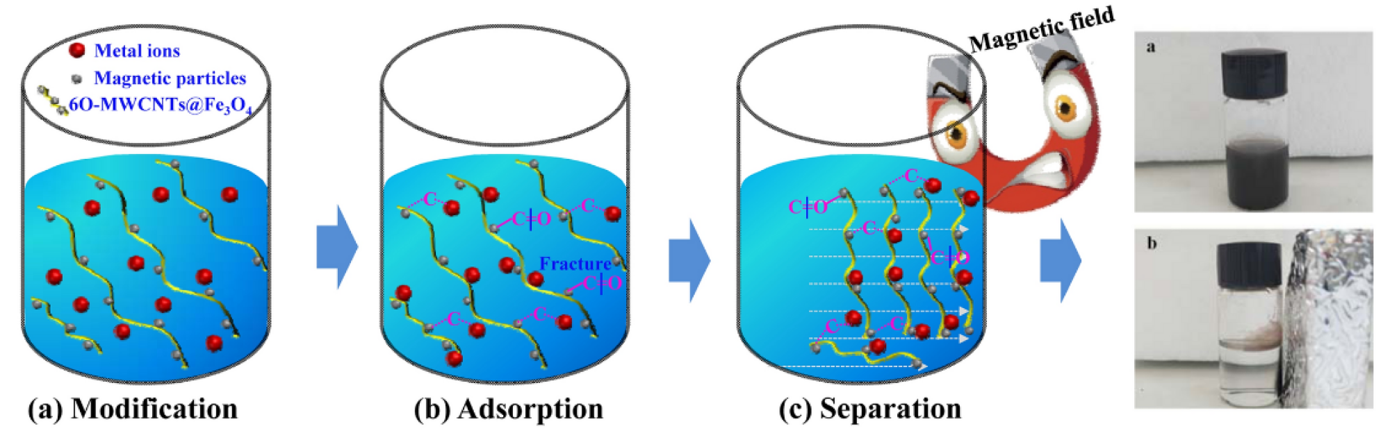 The mechanism of heavy metal ion absorption by 6O-MWCNTs@Fe3O4 in wastewater [91].