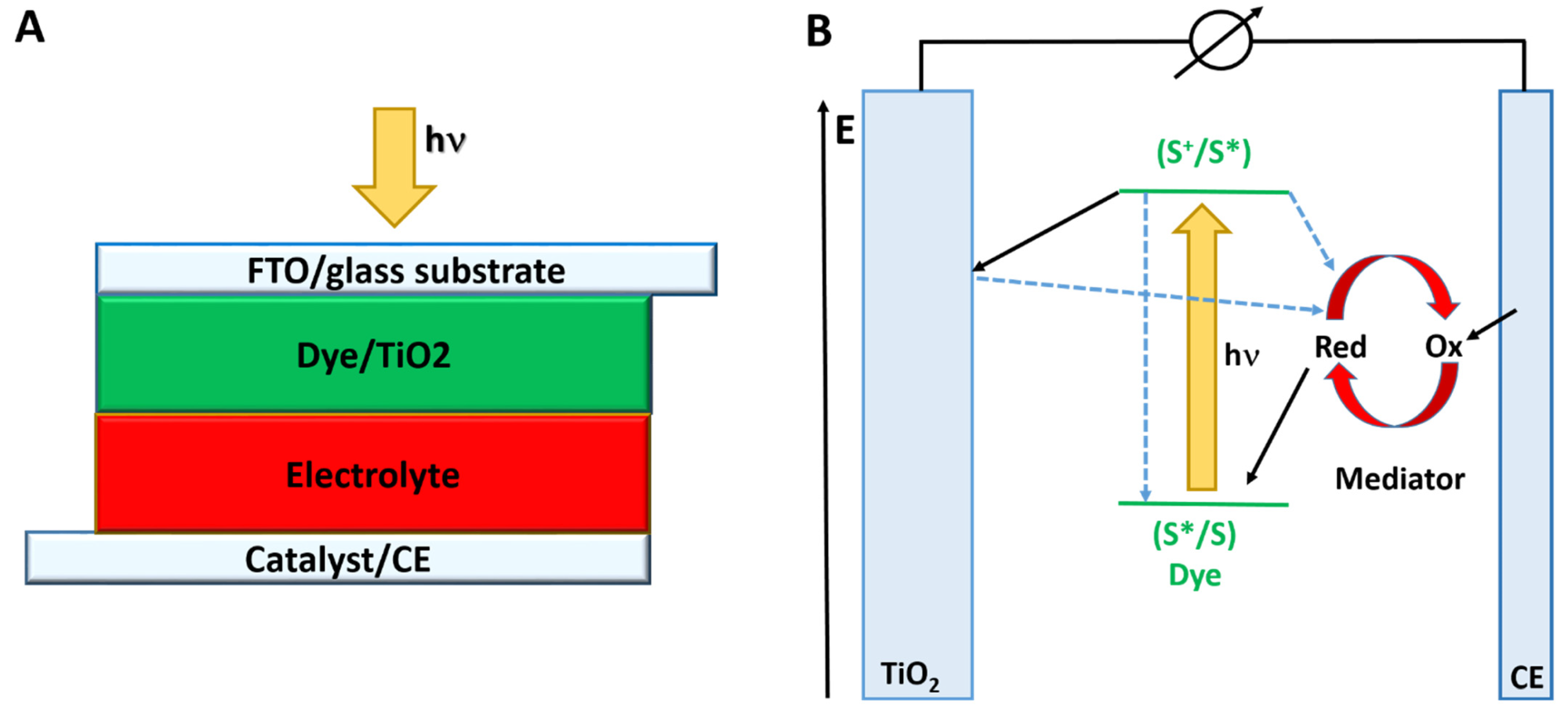 (A) The schematic structure and (B) main processes and principles of operation of the dye-sensitized solar cell.