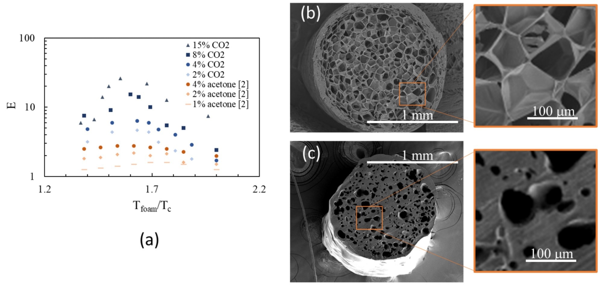 (a) Comparison between the expansion ratios achieved with CO2 (this work) and acetone [2]. SEM images of the cross section of a strand foamed with CO2 (b) and acetone (c).