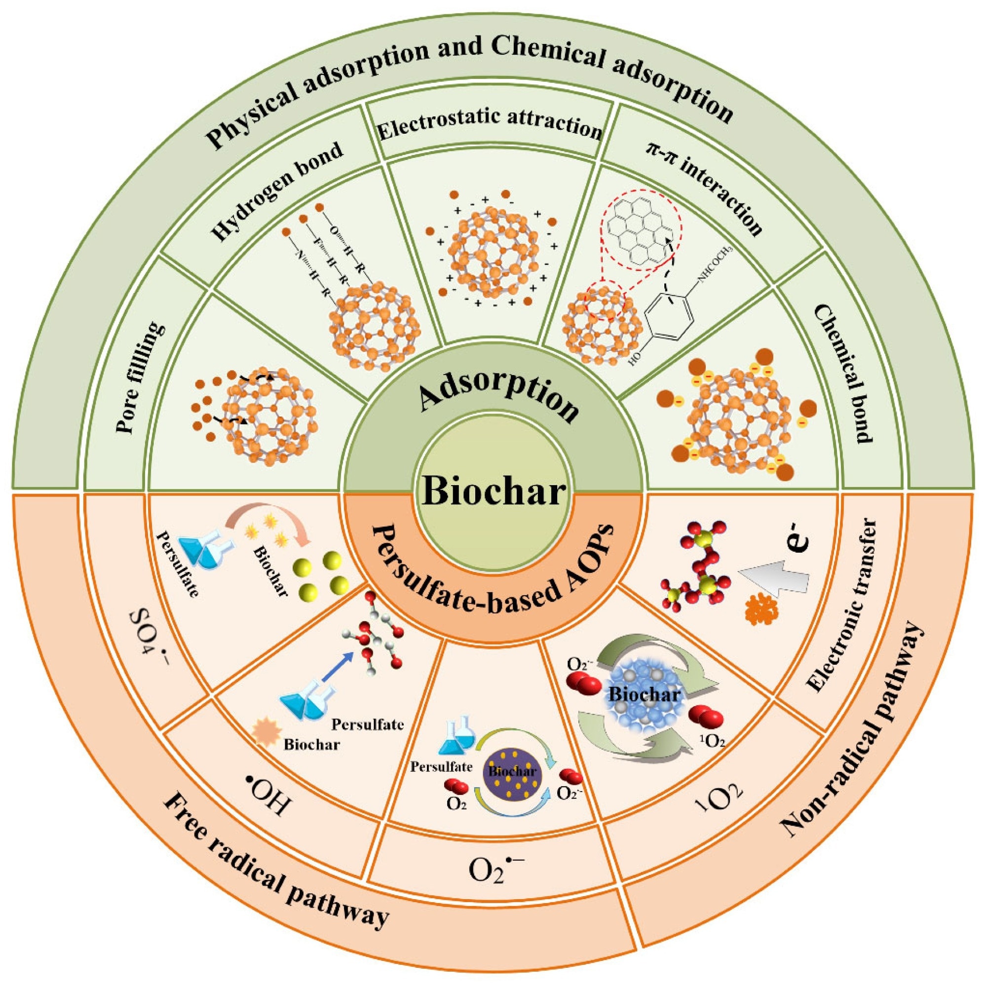 Removal mechanisms and main interactions of pharmaceutical pollutants by biochar.
