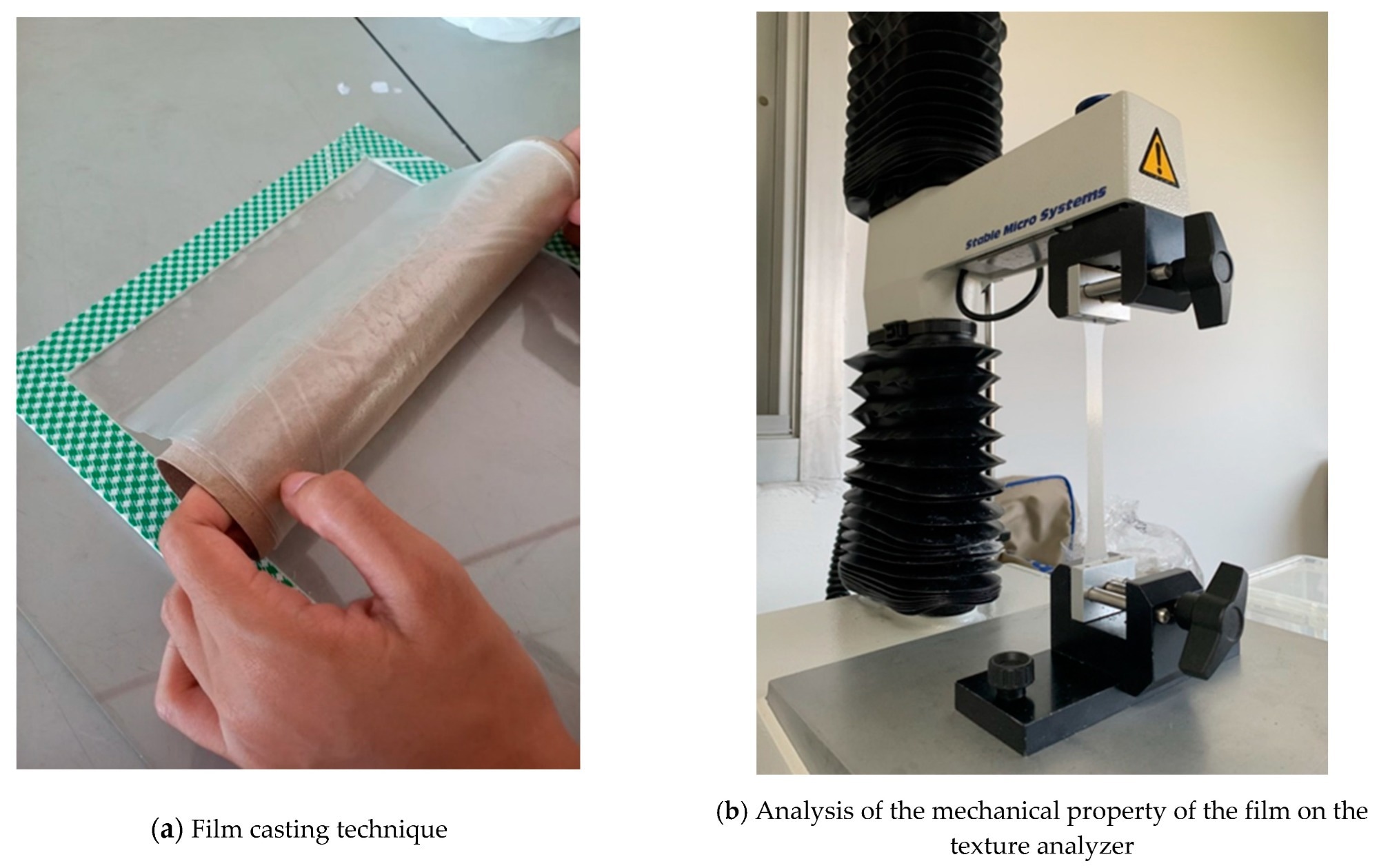 Casting the PVA/ST/WMRE film (a) and analysis of the mechanical property of the film on the texture analyzer (b).