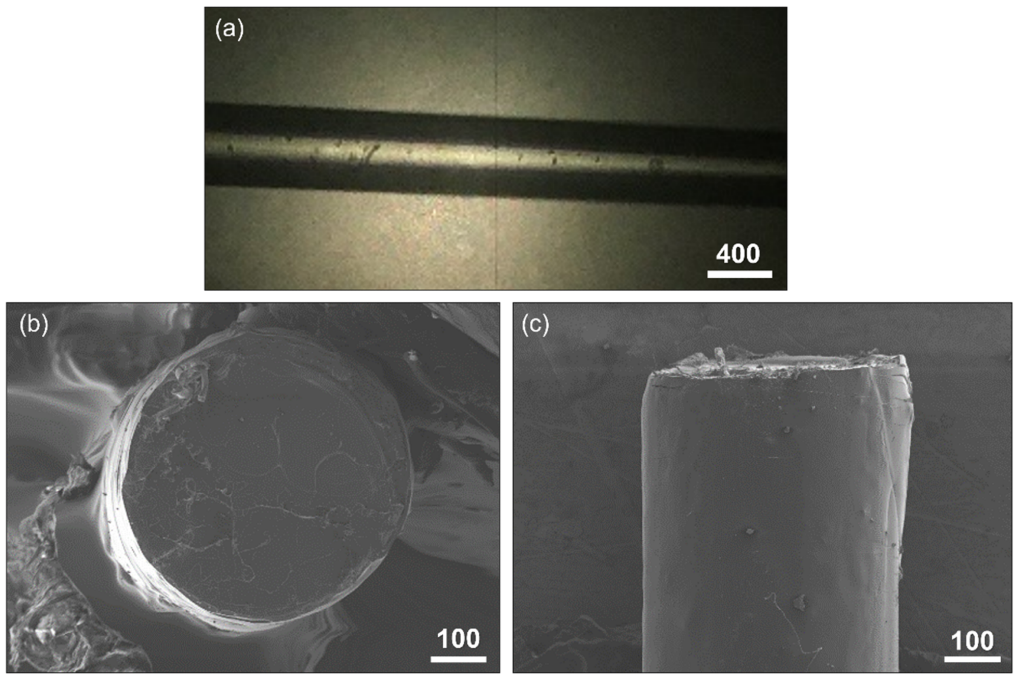 (a) Detail of the PLA filament with the profilometer. (b) Fractography of the filament with the SEM in which the excellent ovality can be observed. (c) Transversal view of the same broken filament. Scale bars in microns.