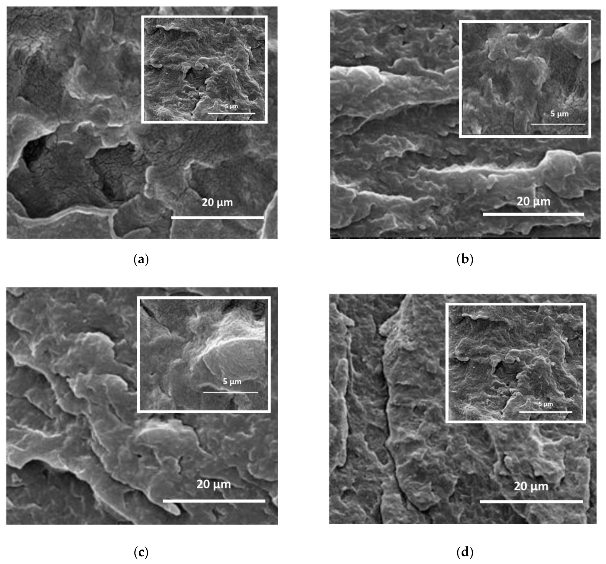 SEM images at different magnifications of (a) PA11/LDH-NO3, (b) PA11/LDH-HALS1, (c) PA11/LDH-HALS2 and (d) PA11/LDH-HALSadded.