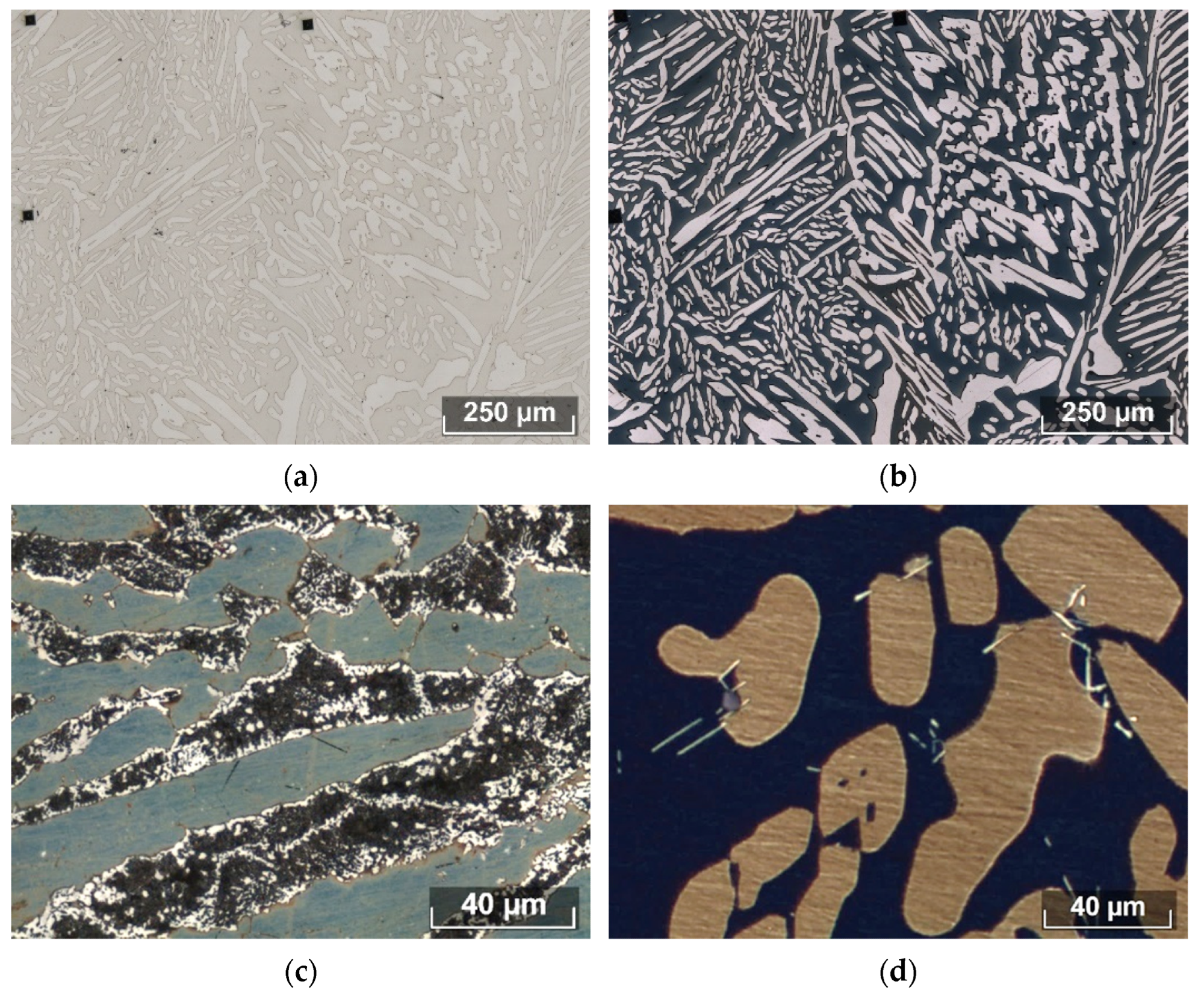 Microstructure of studied steels after electrolytic etching using NaOH (a) and chemical etching using Beraha etchant (b) in Steel 3. The Beraha etchant allows identification of the s phase in Steel 7 (c) and Laves phases in Steel 8 (d).