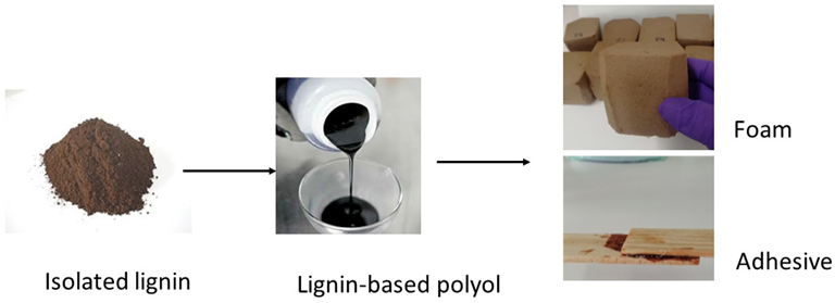 Polyurethane products from lignin-based polyol (LBP).