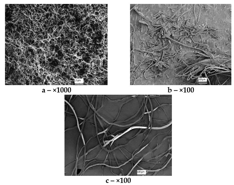 SEM images of cellulose samples of different origin: (a) BC, (b) synthetic cellulose, and (c) Miscanthus cellulose.
