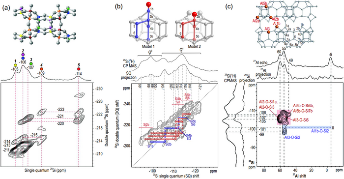 Developments on Zeolite Catalyst Solid-State NMR Studies
