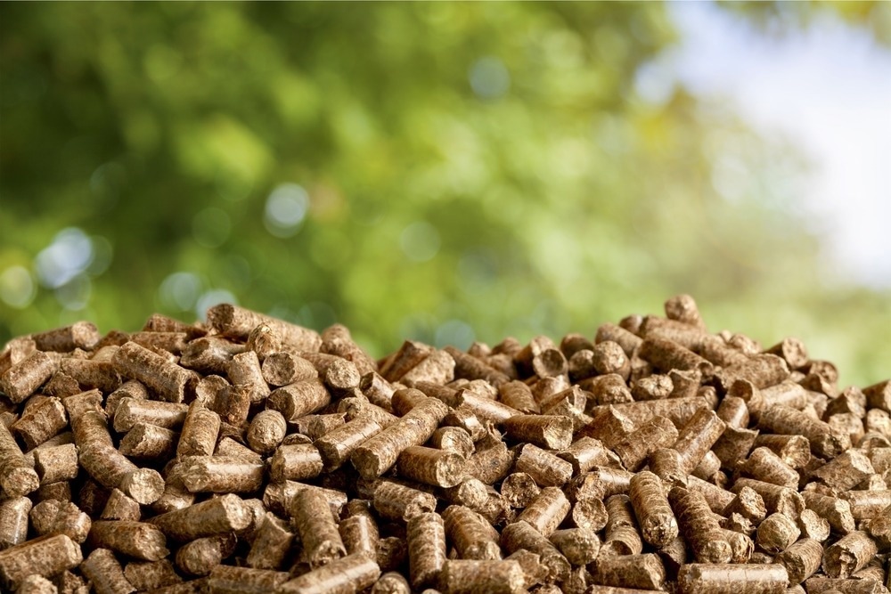 Waste Biomass-Derived Carbon Materials for Energy Storage