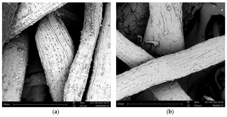 SEM of (a) untreated coir fibers and (b) pre-treated coir fibers