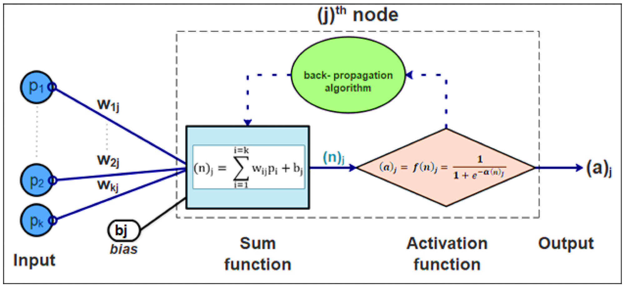 Architecture of artificial node and its interactions in the neural network.