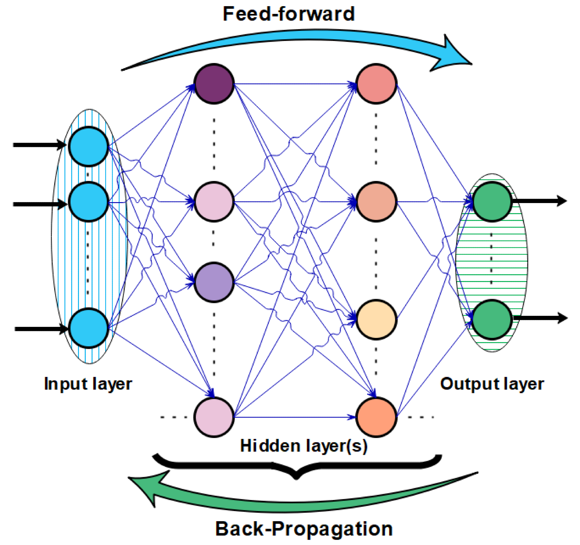 Architecture of applied neural network and learning process principle.