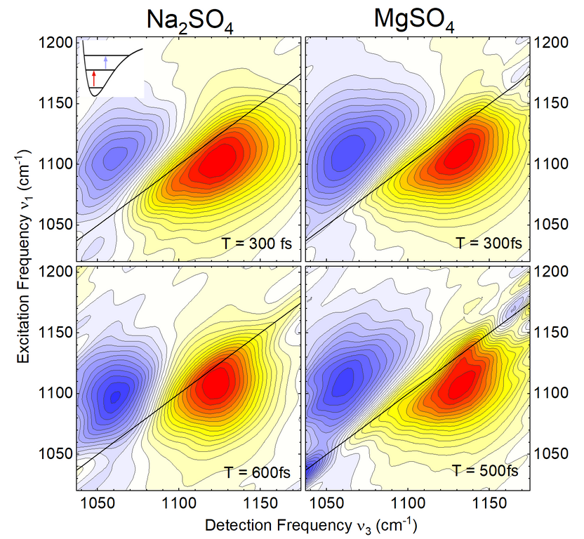 Dynamics of Aqueous Solutions in the Presence of Na+ and Mg2+ Ions