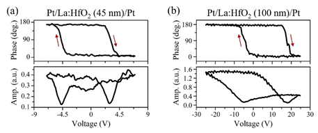 (a, b) Bias-off PFM phase (top panel) and amplitude (bottom panel) loops obtained on Pt/La:HfO2/Pt capacitors with the La:HfO2 film thickness of 45 nm (a) and 100 nm (b). The clockwise rotation of the phase signal shows that the d33,eff is positive in both samples. The loops shown in (a) were obtained after wake-up, while the loops in (b) were obtained in the pristine state.
