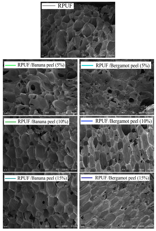 SEM images of the studied RPUF. Where: RPUF is the neat rigid polyurethane foam.
