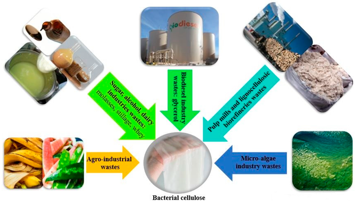 Schematic overview of bacterial cellulose production from different industrial wastes.