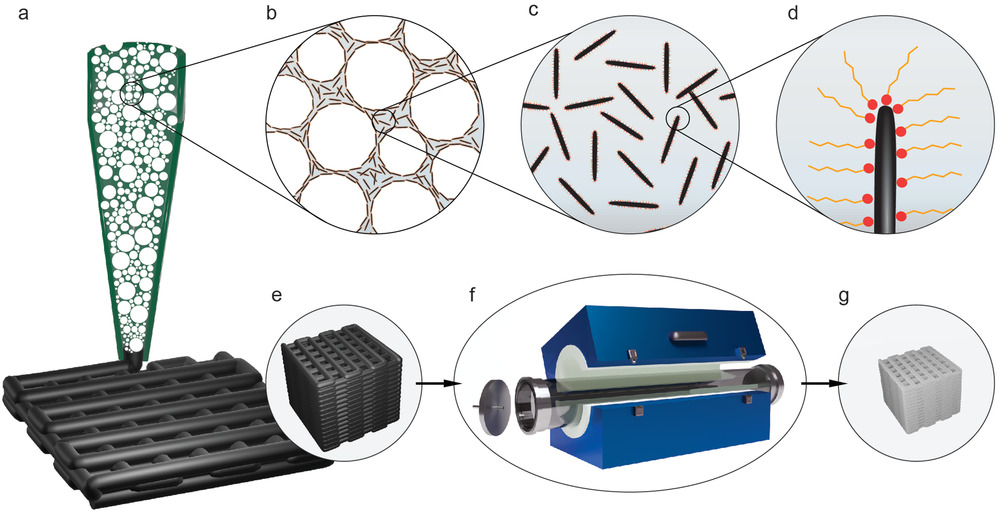 Schematic of the manufacturing process of iron-based hierarchical porous structures. a–d) Direct ink writing (a) of closed-pore, particle-stabilized wet foam (b) made by frothing a suspension of magnetite microrods (c) functionalized with a short-chain amphiphilic molecule (d). e) The as-printed structure is reduced and sintered in a tubular oven under f) constant H2 gas flow to g) an iron-based open porous structure.