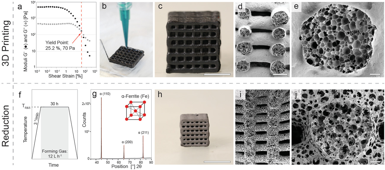 3D printing and reduction of foams to generate iron-based hierarchical porous structures. a) Strain-controlled oscillatory rheology performed to quantify the viscoelastic properties of the wet foam with optimum concentrations of surface modifier (3 µL g-1) and iron oxide particles (50 wt%). b) Direct ink writing of the stable foam using a desktop extrusion-based printer equipped with a syringe and nozzle size of 0.84 mm. c) Optical and d,e) SEM images of the printed stable foam after drying. f) Typical heating protocol used for the reduction and sintering of dried foams. In this representative example, the foam is treated at 850 °C for 30 h. g) XRD pattern of the fully reduced sample and its clear correlation with the diffraction peaks expected for a ferritic (a-Fe) atomic structure. h) Optical and i,j) SEM images of the reduced sample. Scale bars indicate 1 cm (c,h), 1 mm (d,i), and 100 µm (e,j).