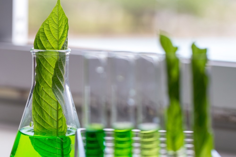 Using Light to Convert Lignin into Sustainable Plastic