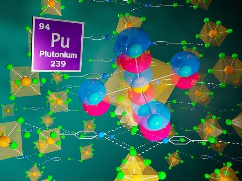 Probing the Features of Plutonium-Ligand Bonds