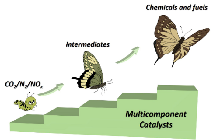 Advancing Green Chemistry and Green Carbon Science With Multicomponent Catalysts.