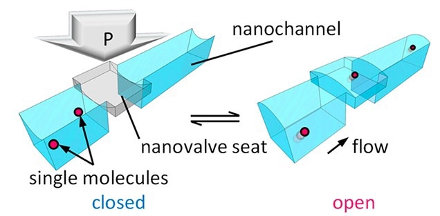 Manipulation of Single Molecules’ Flow in Solution
