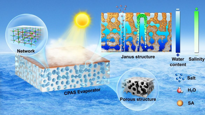 New Hydrogel Solar Evaporator Resembles Janus Structure