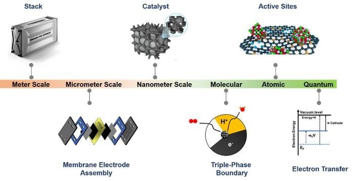 Outlining the Recent Developments of Carbon-Based ORR Catalysts