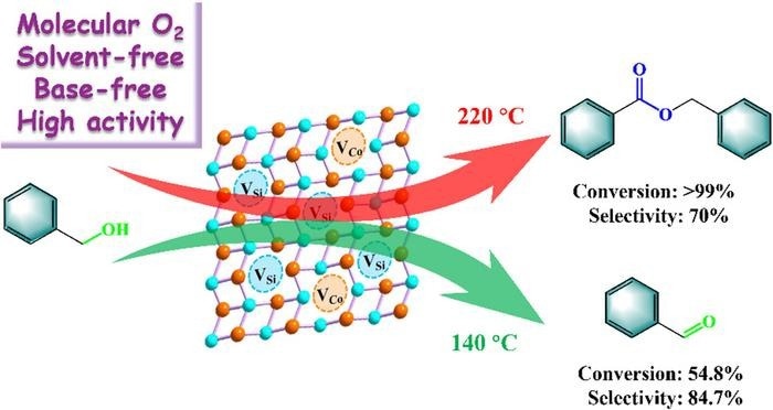 Formation of CoSi Alloy With Rich-Vacancies (Am-CoSi)