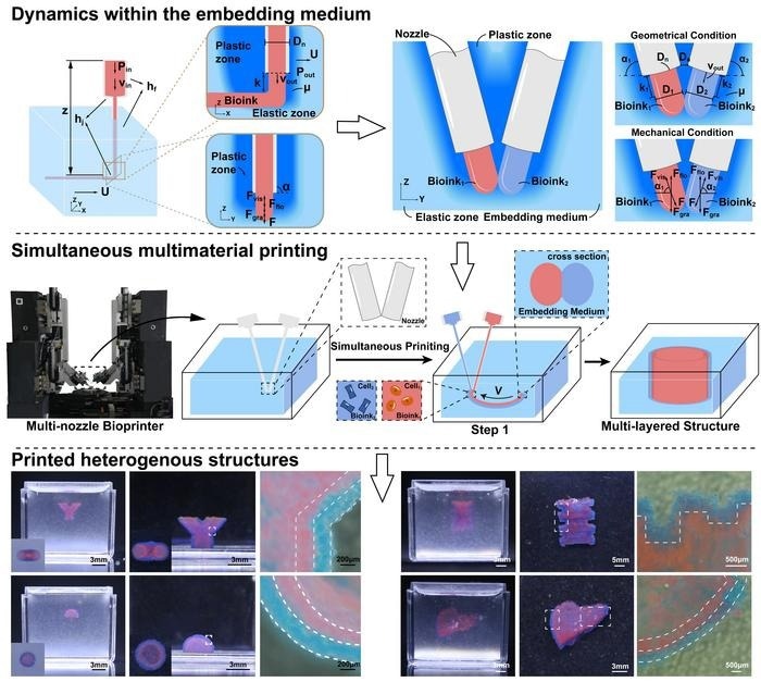Novel Multi-Material Embedded Printing Method Offers Structural Integrity and Precision