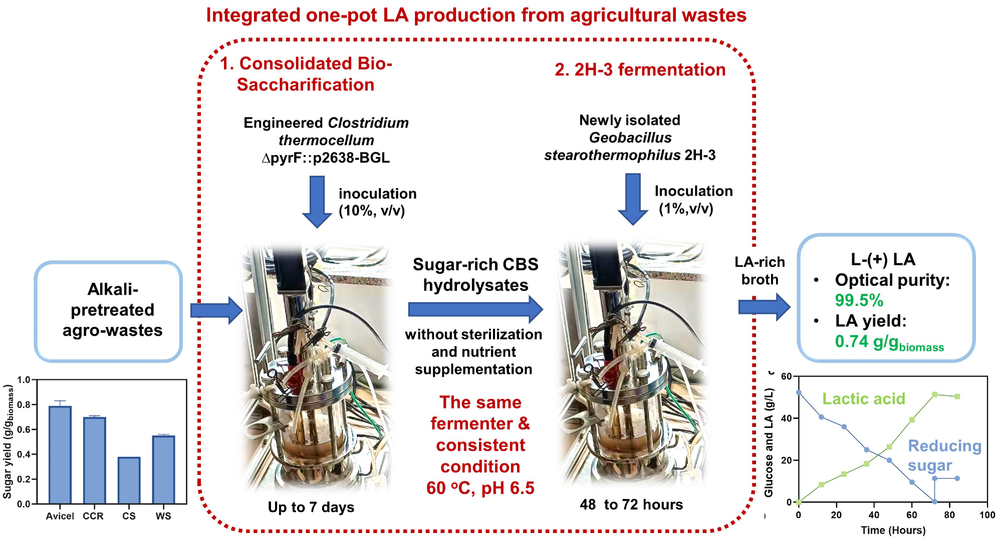 A Method to Use Agro-Waste Products to Obtain Lactic Acid