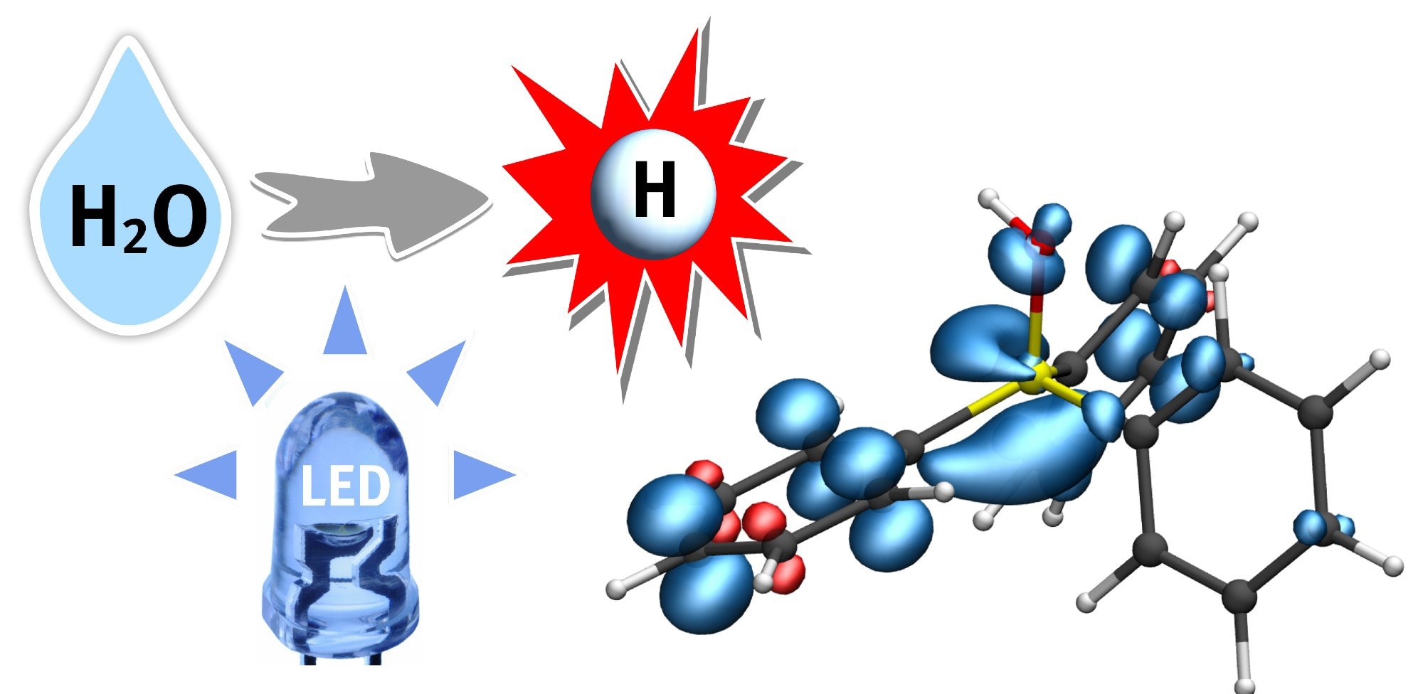 A hydrogen atom (H) from water (H2O) is transferred to a phosphine-water radical cation under the supply of light energy (LED). This important radical intermediate can further transfer the hydrogen atom (white) to the substrate. The blue regions indicate the electron spin distribution.