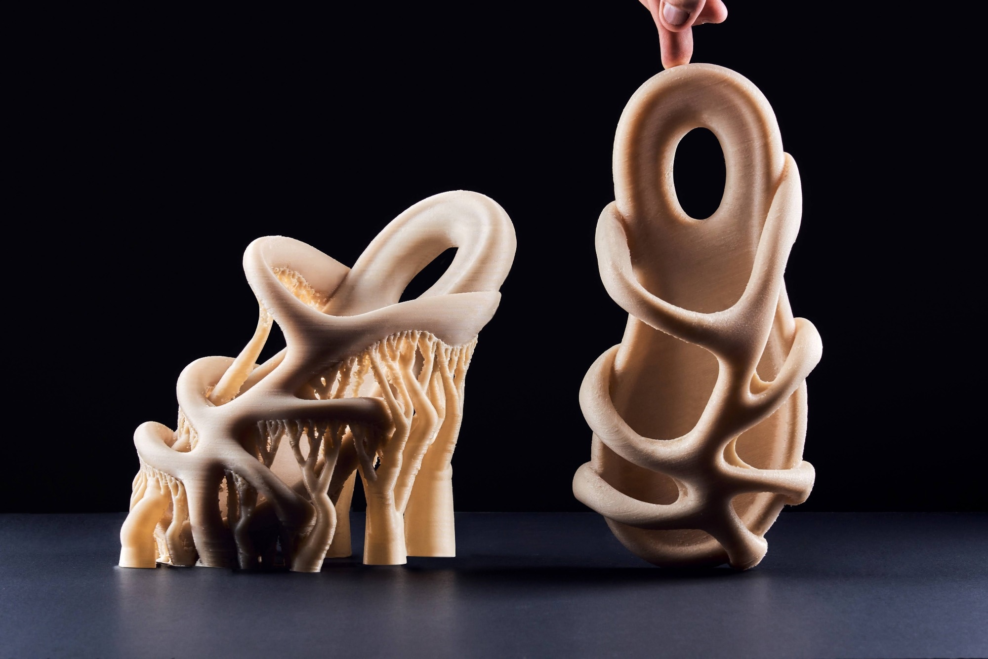 Introducing ROOTS: Biodegradable 3D-Printed Designer Footwear