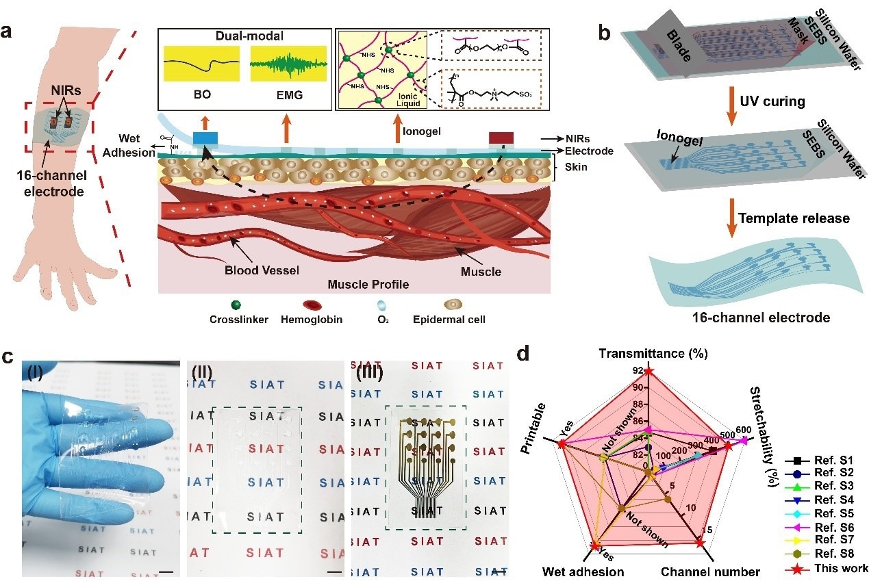 Skin-Adherent Electrodes for Dual-Modal Monitoring of Muscle-Vascular Activity
