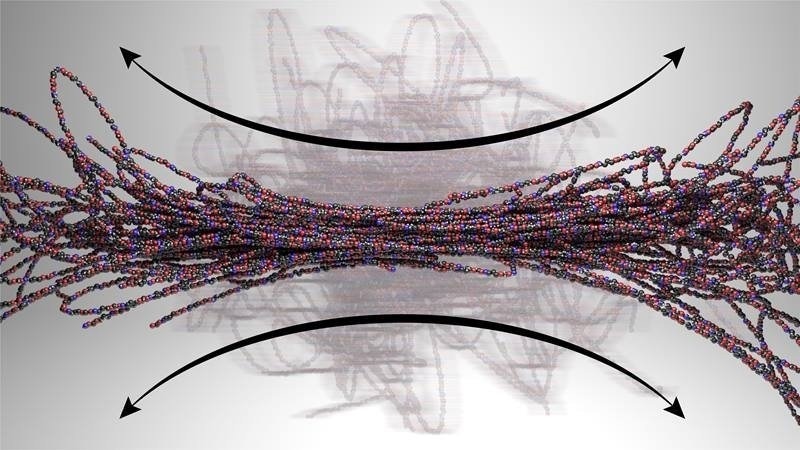 New Insights Into Polymer Flow Dynamics Could Enable Design of Advanced Materials