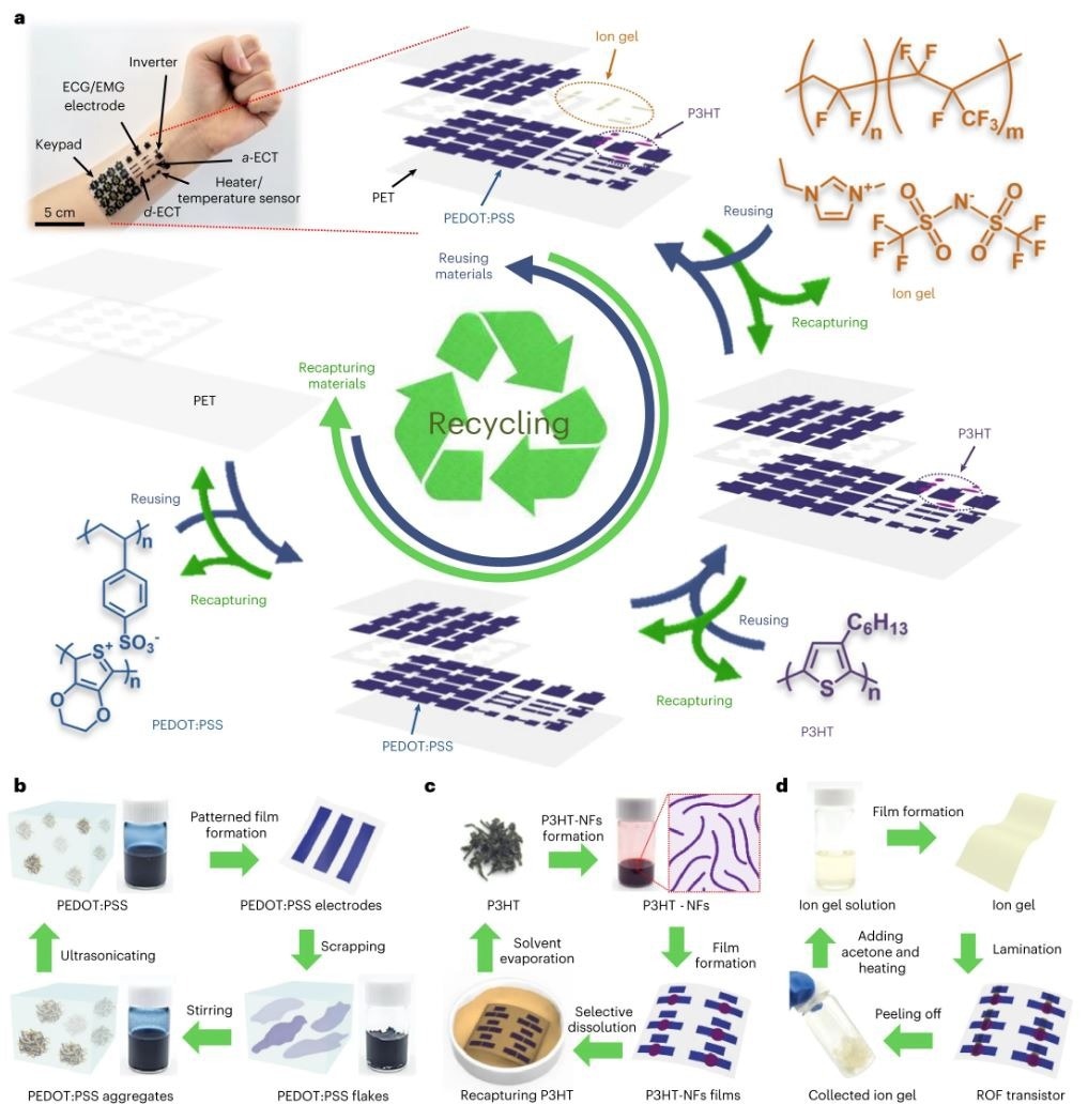 Closed-Loop Recycling of Organic Flexible Electronics for Sustainable Wearable Technology