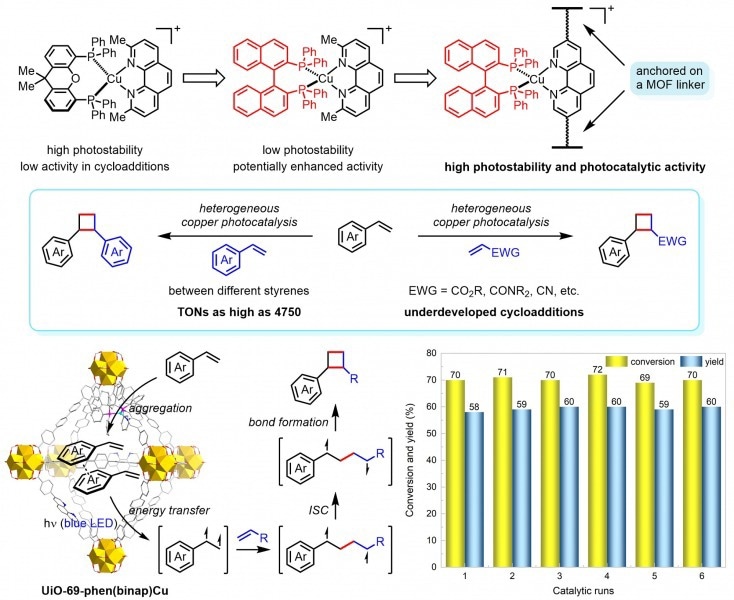 Effective Synthesis of Various Bioactive Compounds