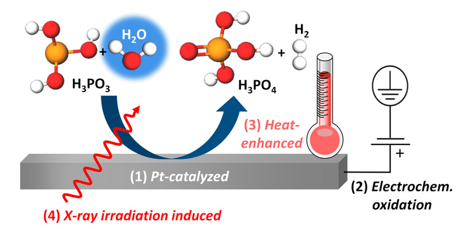 Tender X-Rays Reveal Multiple Oxidation Processes at the Platinum-Electrolyte Interface