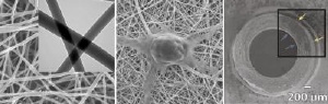Natural and Synthetic Materials Combined to Repair Severed Nerves