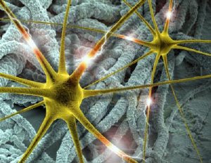 PEDOT Nanotube Coated Brain Implants May Help Treat Neurological Disorders