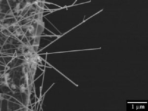 Silicon Nanowires Prove Sturdy Enough to Work in Nanoelectronics and Other Applications