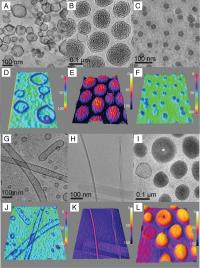 New Library of Synthetic Biomaterials Prepared