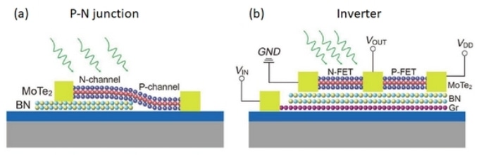 Photodoping in 2D Materials for Fabrication of Logic Devices