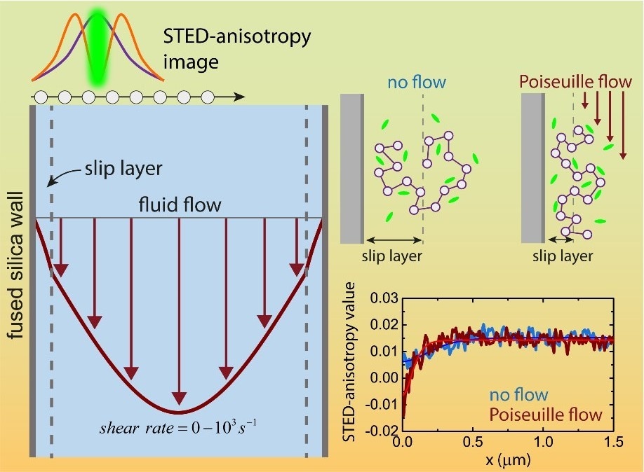 New Insights into Nanoscopic Slip Layers Formed in Flowing Complex Liquids