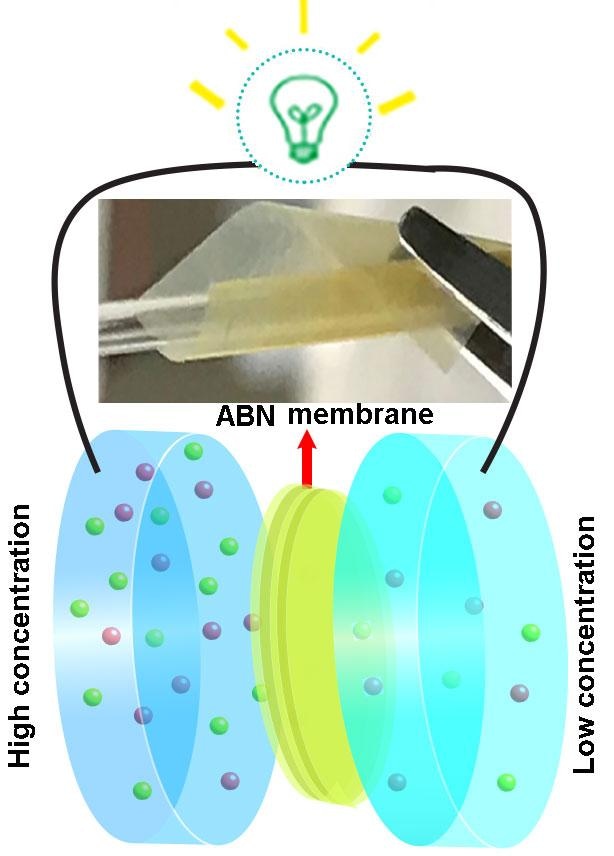Bio-Inspired Membrane can Help Harvest Ocean Energy