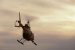 Light Weight Fuel Cells Powers Helicopter