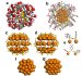 First Report on the Stability and Electronic Properties of Gold Nanoclusters