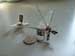 Ultra-Small, Remote-Controlled Micro Aircraft Takes Flight