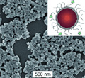 Phosphorescent Ruthenium Nanomaterials Used to Mark Tumor Cells