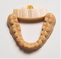 Stratasys Ltd., Announce Availability of VeroDentPlus Dental Material for 3D Printing