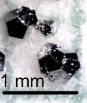 New Family of Rare-Earth Quasicrystals Discovered
